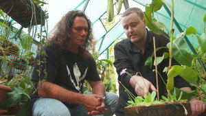 Gardening Australia 31. évad Ep.37 37. epizód