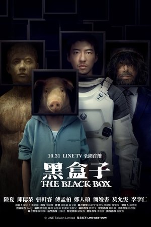 黑盒子 poszter
