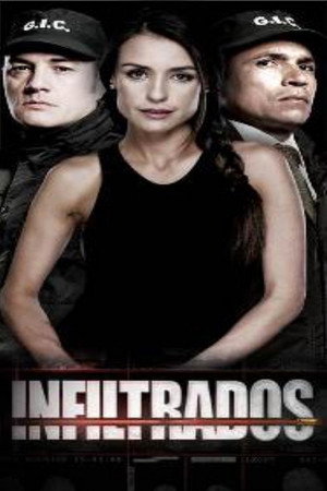 Infiltrados poszter