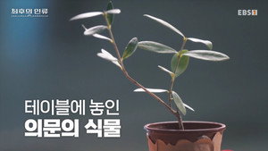 최후의 인류 1. évad Ep.7 7. epizód