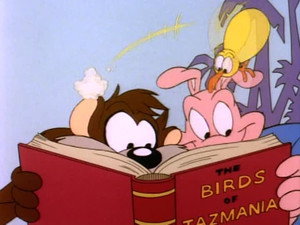 Taz-Mania 1. évad Ep.7 Kiwi király módra