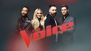 The Voice kép