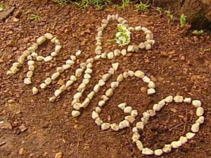Neighbours 26. évad Ep.197 197. epizód