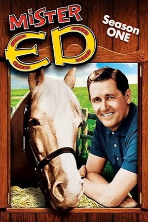 Mister Ed poszter