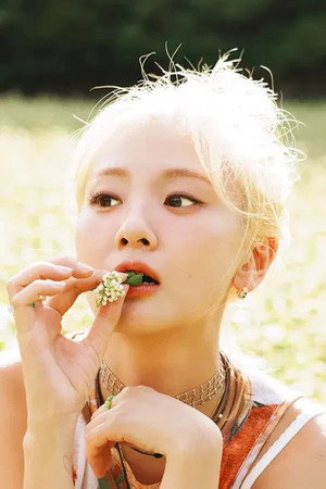 안지영 profil kép