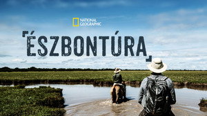 Észbontúra kép