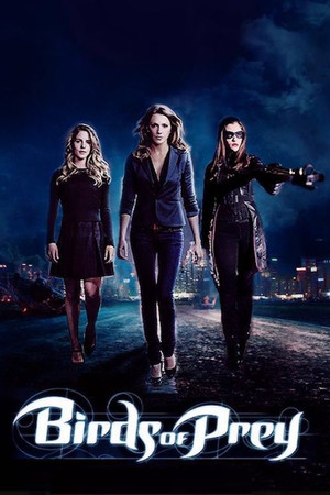 Birds of Prey poszter