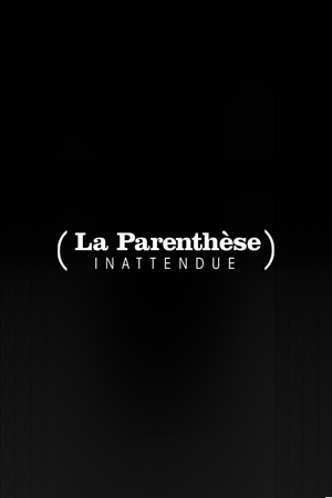 La Parenthèse inattendue poszter