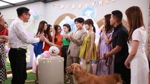 寵愛 Pet Pet kép