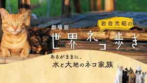 岩合光昭の世界ネコ歩き kép