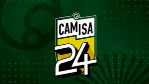 Camisa 24 kép