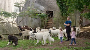 La famille est dans le pré kép