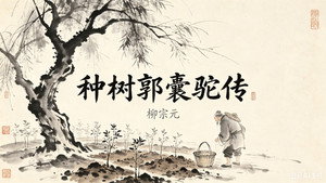 斑马百科 32. évad Ep.9 9. epizód