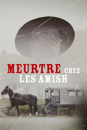 Murder in Amish Country poszter