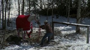Heartland 3. évad Ep.1 1. epizód