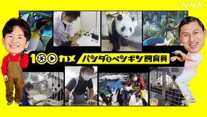 １００カメ 1. évad Ep.31 31. epizód
