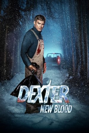 Dexter: Új vér 1. évad (2021-11-07) poszter