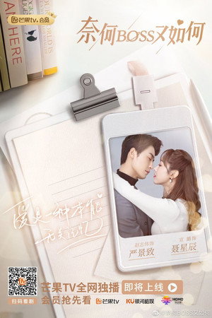 奈何BOSS又如何 poszter