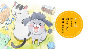 犬と猫どっちも飼ってると毎日たのしい kép