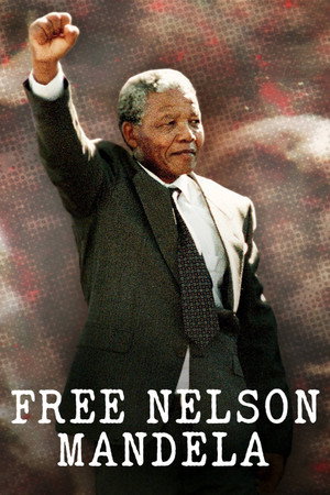 Free Nelson Mandela poszter