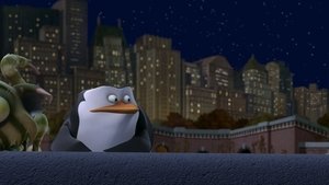 A Madagaszkár pingvinjei 1. évad Ep.28 Macska bölcső