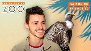 Une saison au zoo 8. évad Ep.20 20. epizód