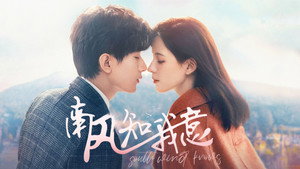 南风知我意 kép