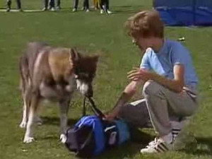 The Littlest Hobo 6. évad Ep.1 1. epizód