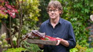 Nigel Slater's Simple Cooking kép