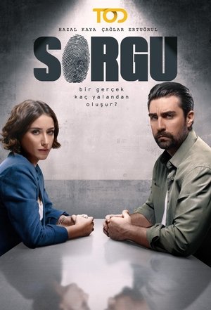Sorgu poszter