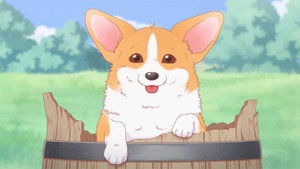 殿と犬 1. évad Ep.24 24. epizód
