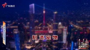 外来媳妇本地郎 12. évad Ep.4264 4264. epizód