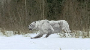 Walking with Beasts kép
