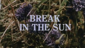 Break in the Sun kép