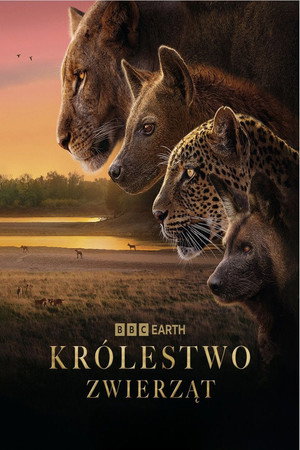 Királyság poszter