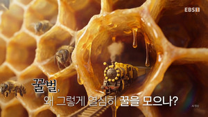 취미는 과학 1. évad Ep.77 77. epizód