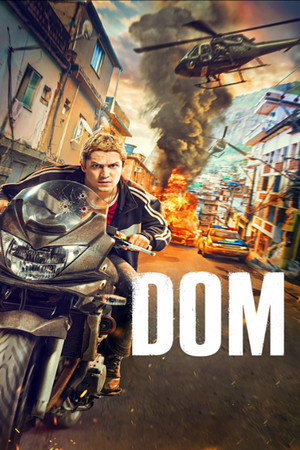 DOM poszter
