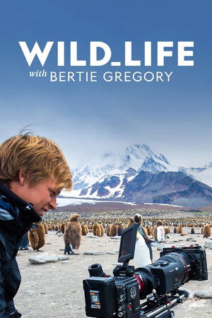 Wild Life with Bertie Gregory 1. évad (2016-08-03) poszter