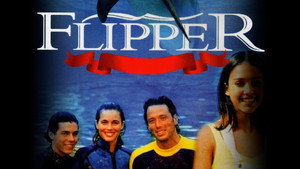 Flipper kép