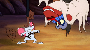 Timon és Pumba a Föld körül 1. évad Ep.4 Rafiki tanmeséi: Jó egértartást