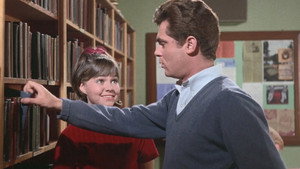 Gidget 1. évad Ep.29 29. epizód