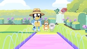 Bluey 3. évad Ep.46 Csúszda
