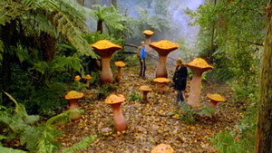 Round the Twist 2. évad Ep.10 10. epizód