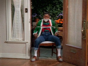 Family Matters 5. évad Ep.20 20. epizód
