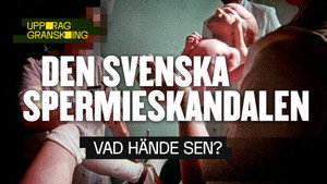 Uppdrag granskning sommar 2024. évad Ep.3 3. epizód
