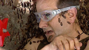 I'm a Celebrity...Get Me Out of Here! 8. évad Ep.7 7. epizód