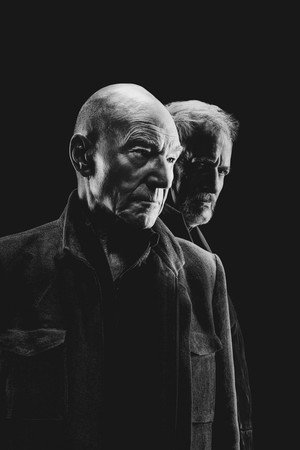 Star Trek: Picard poszter