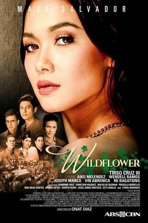 Wildflower 1. évad (2017-02-13) poszter