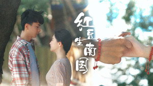 红豆生南国 kép
