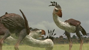 Walking with Beasts kép